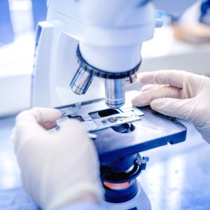 Цитологические исследования